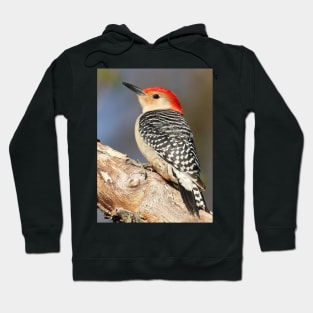 Red Bellied Woodpecker Hoodie